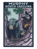 Murphy, North Carolina - Black Bears Prints by Lantern Press 