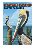 Kiawah Island, South Carolina - Pelicans Print by Lantern Press 