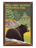 Black Bear in Forest - Great Smoky Mountain National Park, Tennessee Art by Lantern Press 