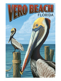 Brown Pelicans - Vero Beach, Florida Affiche par Lantern Press 