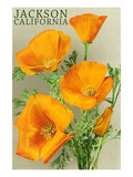 Jackson, California - Poppies Prints by Lantern Press 