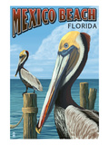 Mexico Beach, Florida - Brown Pelicans Print by Lantern Press 