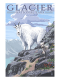 Mountain Goat and Kid - Glacier National Park, Montana Art by Lantern Press 