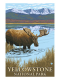 Yellowstone National Park - Moose Drinking in Lake Posters by Lantern Press 