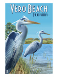 Blue Heron - Vero Beach, Florida Posters by Lantern Press 
