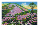 Maggie Valley, North Carolina - View of Purple Rhododendron in Bloom Near Blue Ridge Parkway Prints by Lantern Press 