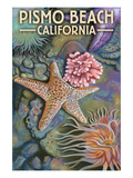 Pismo Beach, California - Tidepool Posters by Lantern Press 