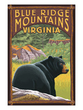 Blue Ridge Mountains, Virginia - Bear in Forest Print by Lantern Press 