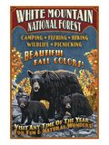 White Mountains, New Hampshire - Black Bear Prints by Lantern Press 