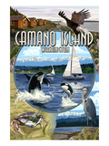 Camano Island, Washington - Montage Posters by Lantern Press 