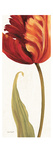 Joyful II Giclee Print by Lisa Audit