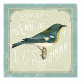 Parisian Bird I Giclee Print by Sue Schlabach