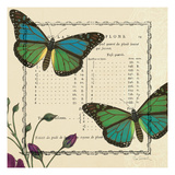 Summer Pages IV Giclee Print by Sue Schlabach