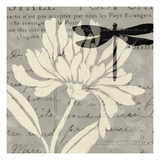 Natural Prints II Giclee Print by Daphne Brissonnet