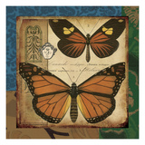 Modern Curiosity IV Reproduction procédé giclée par Wild Apple Portfolio