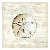 Ocean Prints IV Giclee Print by Pela Studio