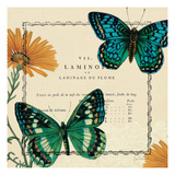 Summer Pages III Giclee Print by Sue Schlabach