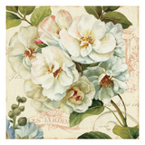 Les Jardin III Giclee Print by Lisa Audit