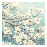Dogwood Blossoms II Giclee Print by James Wiens