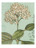 Botanique Bleu IV Giclee Print by Wild Apple Portfolio