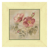 Burgundy Rose Gicléedruk van Cheri Blum