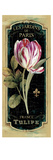 Garden View IV Black Giclee Print by Lisa Audit