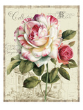 Garden View III Giclee Print by Lisa Audit