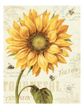 Under the Sun I Giclee Print by Lisa Audit
