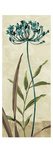 Growing I Giclee Print by Lisa Audit