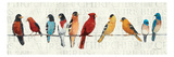 The Usual Suspects Giclee Print by Avery Tillmon