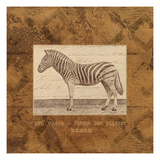Zebra Giclee Print by Wild Apple Portfolio