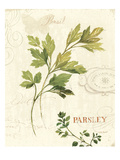 Aromatique I Giclee Print by Lisa Audit