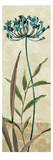 Growing I Giclee Print by Lisa Audit