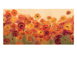 Summer Poppies Reproduction procédé giclée par Silvia Vassileva