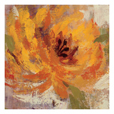 Fiery Dahlias I Giclee Print by Silvia Vassileva
