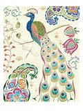 Peacock Fantasy III Giclee Print by Daphne Brissonnet