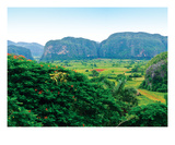 Paysage De La Campagne Cubaine Premium Giclee Print by Sebastien Nouet