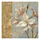 Amaryllis on Soft Blue Giclee Print by Silvia Vassileva