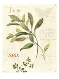 Aromatique IV Giclee Print by Lisa Audit