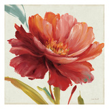 Dancing Colors I Giclee Print by Lisa Audit