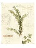 Aromatique II Giclee Print by Lisa Audit