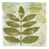 Woodland Thoughts IV Giclee Print by Mo Mullan