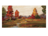 Fall Creek Giclee Print by Silvia Vassileva