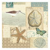 Coastal Collage III Giclee Print by Alain Pelletier