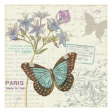Papillon Tales II Giclee Print by Pela Studio