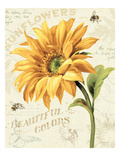 Under the Sun II Giclee Print by Lisa Audit