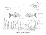 "It's wet, but it's a dry wet." - New Yorker Cartoon Premium Giclee Print by Avi Steinberg