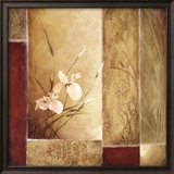 Iris in Bloom I Affiches par Mark Everest