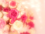 Letters from Roses VI Photographie par Alaya Gadeh