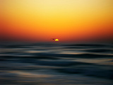 Bird at Sunset Photographic Print by Josh Adamski